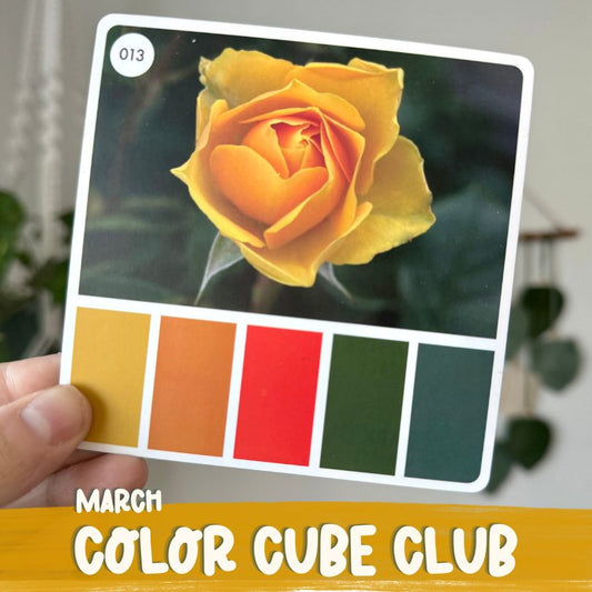 Color Cube Yarn Club | March 2024