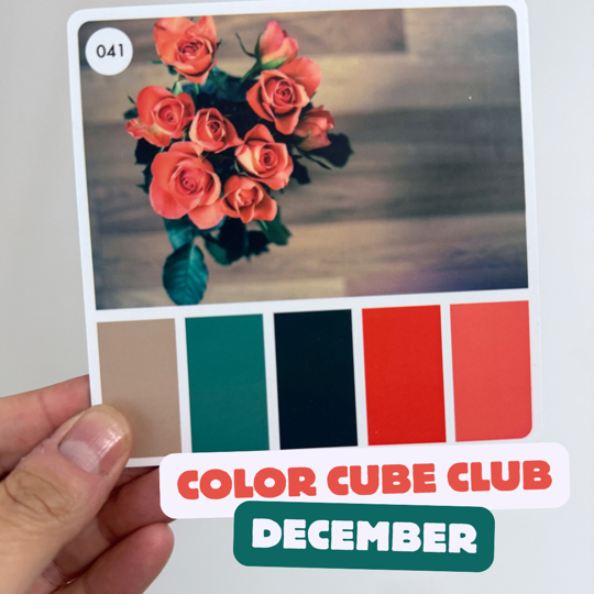 Color Cube Yarn Club 2025 | Monthly