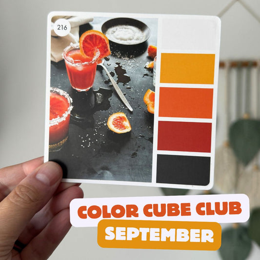 Color Cube Yarn Club 2025 | Monthly