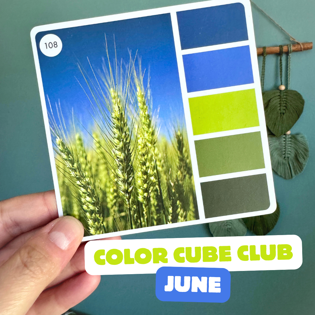 Color Cube Yarn Club 2026 | Monthly
