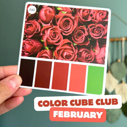 Color Cube Yarn Club 2026 | Monthly