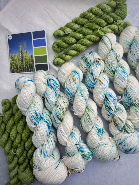 Color Cube Yarn Club | June 2026