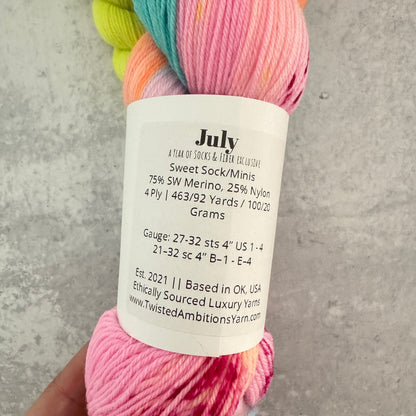 Twisted Ambitions Yarn "July" | Destash