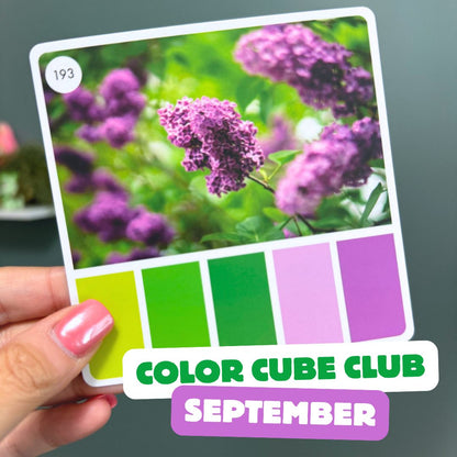 Color Cube Yarn Club 2026 | Monthly