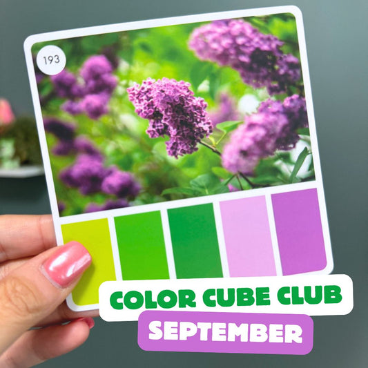 Color Cube Yarn Club 2026 | Monthly