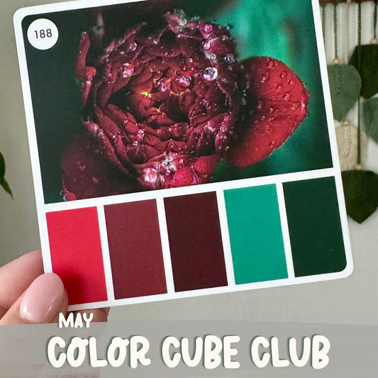 Color Cube Yarn Club | May 2024 - Lofty Loops Yarns